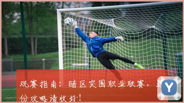 观赛指南：暗区突围职业联赛，这份攻略请收好！